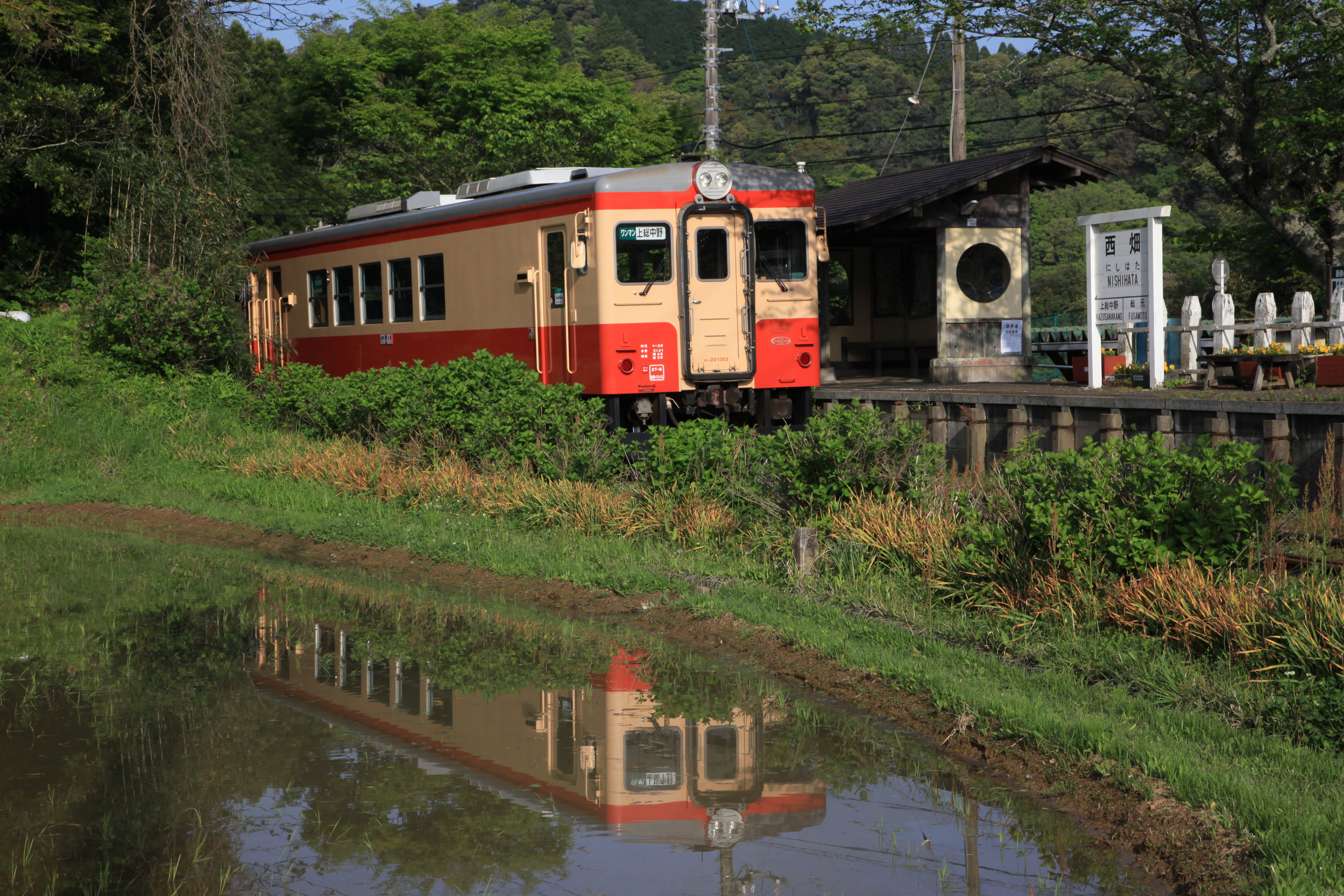momo西畑駅