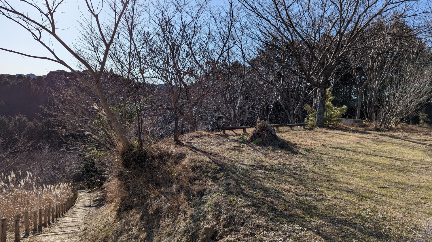 大塚山