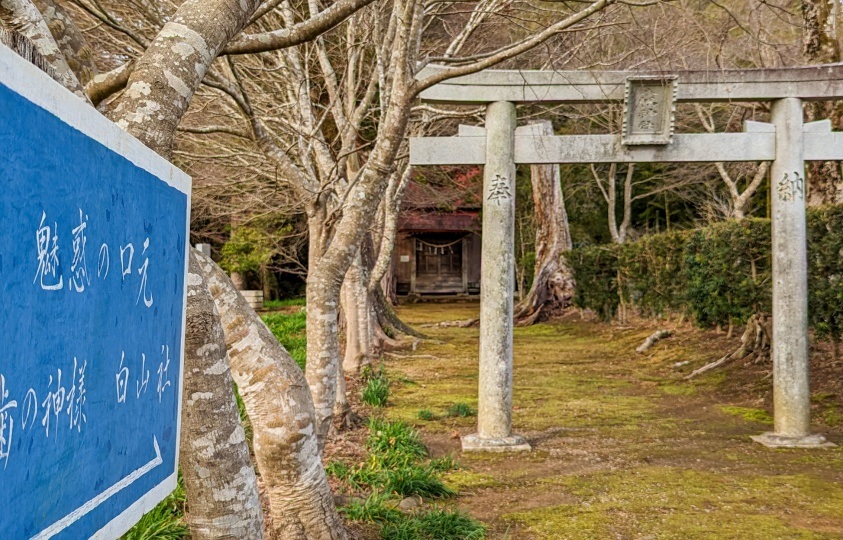 城・史跡・神社仏閣 | 大多喜ロケーションサービス