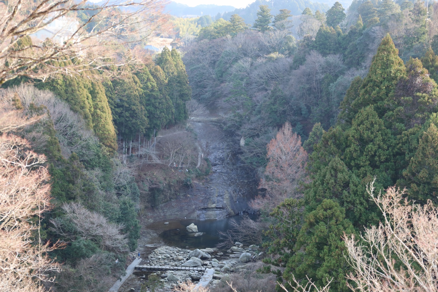 養老のてんぼうだい