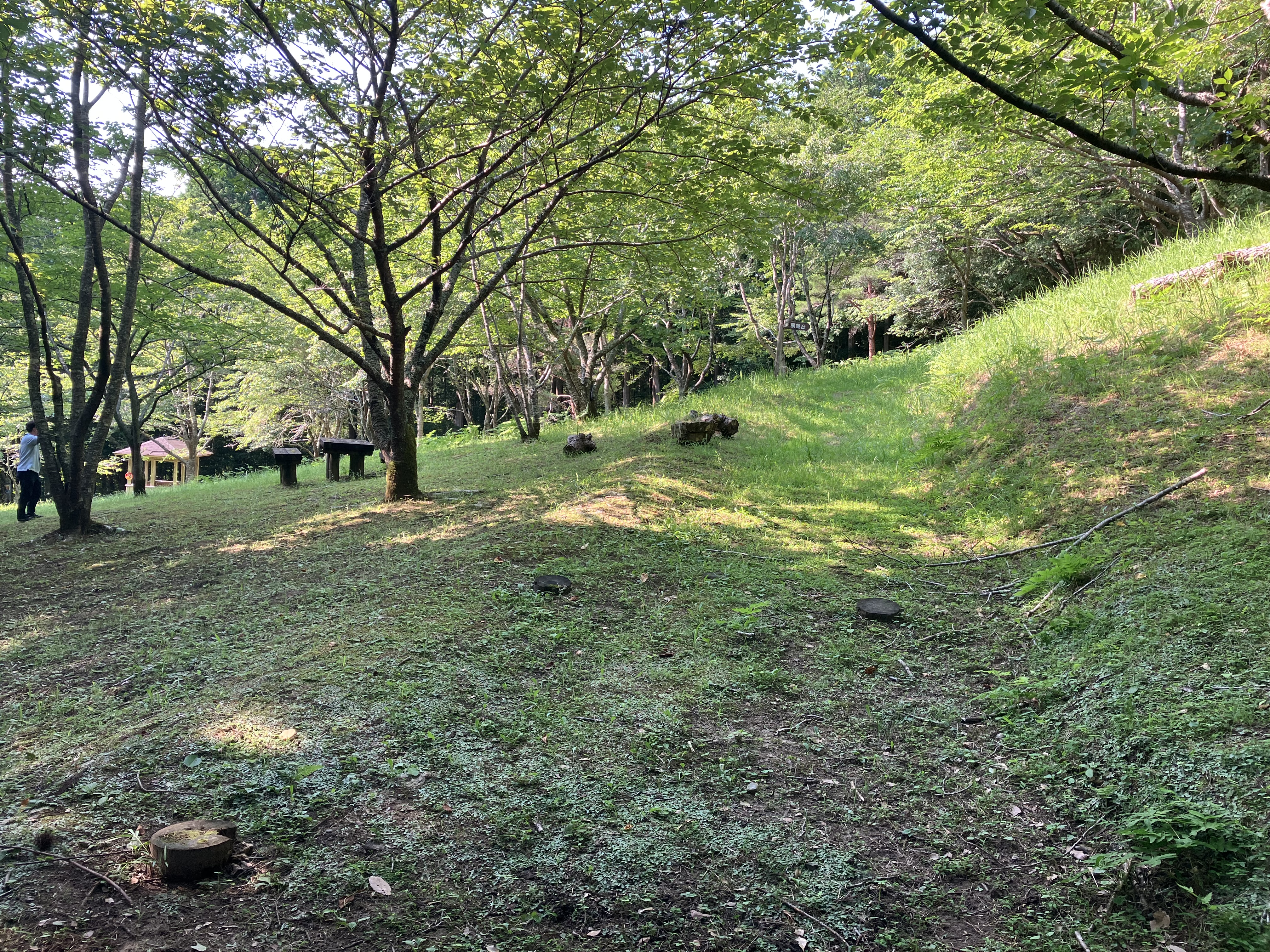 大多喜県民の森