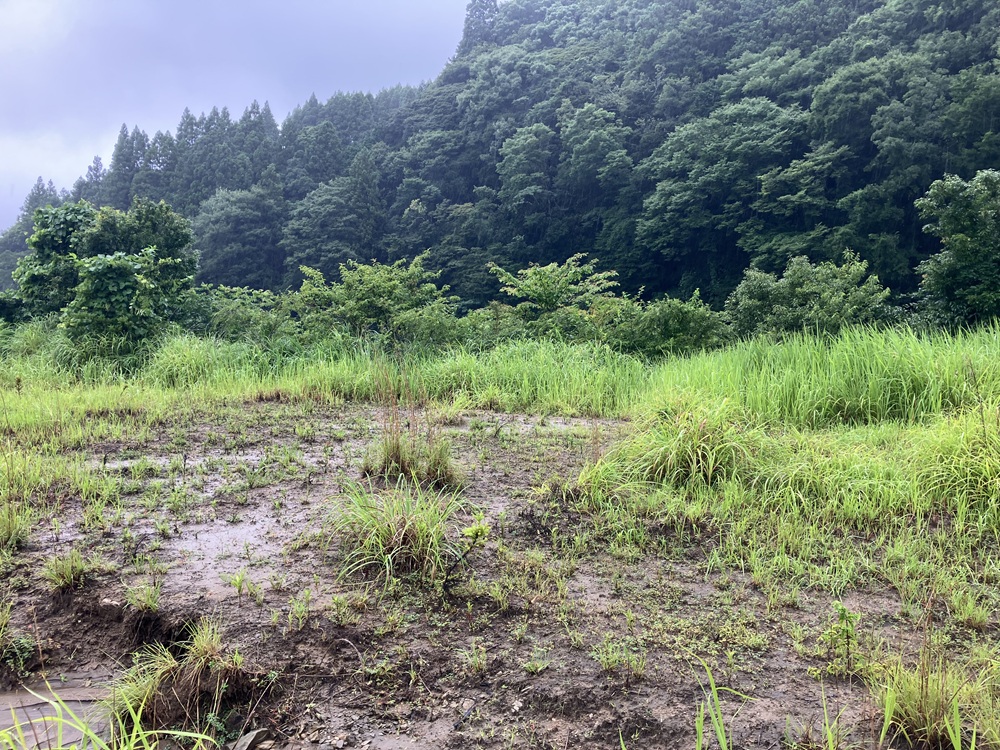 筒森　更地