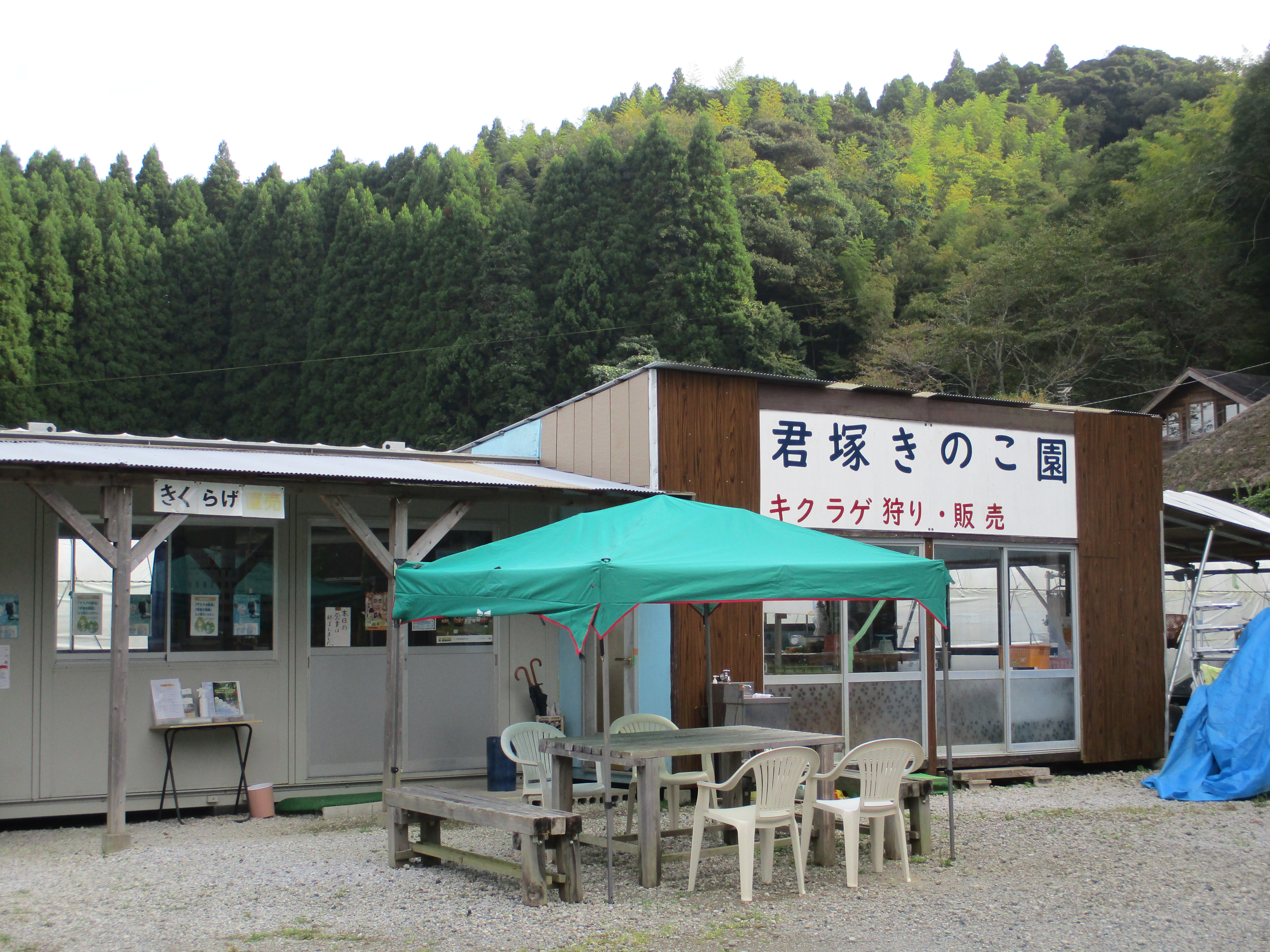 君塚きのこえん　