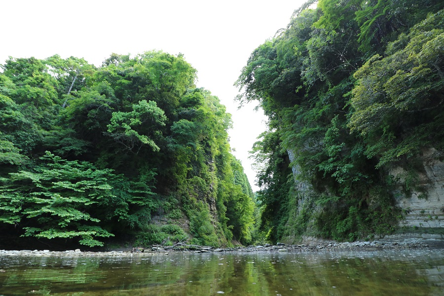 弘文堂跡